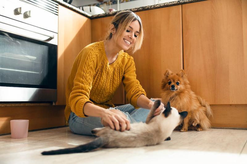 Une femme caresse un chien chez elle
