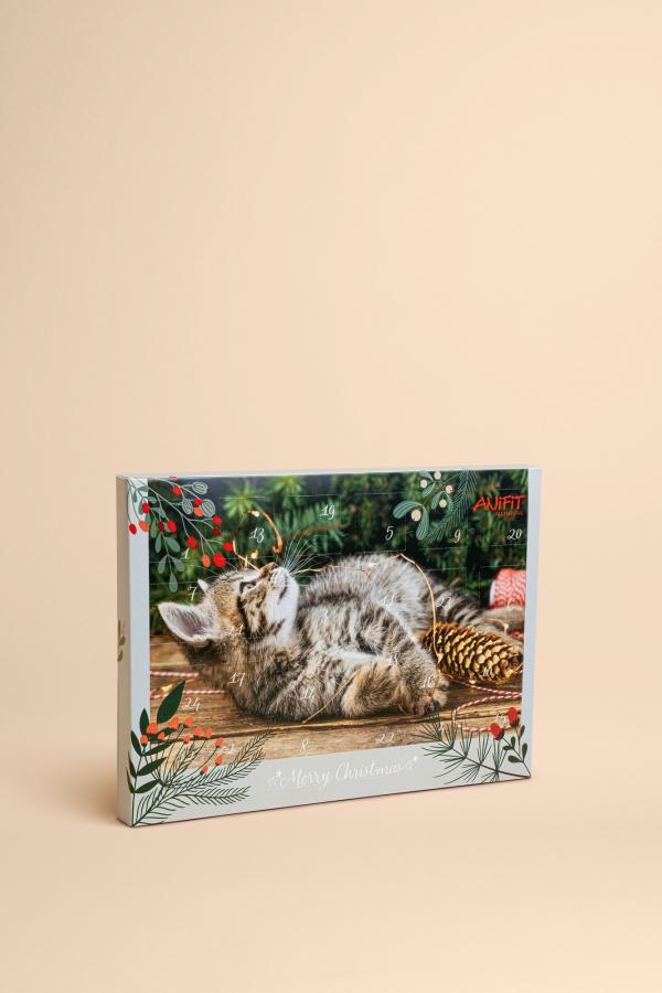 Katzen Adventskalender 2025
